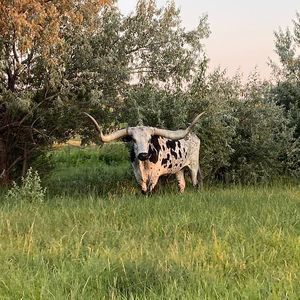 Meet your Posher, Sara n gary